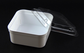 disposable salad bowl